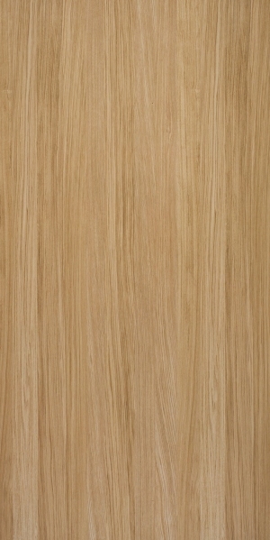 ModernWood Texture