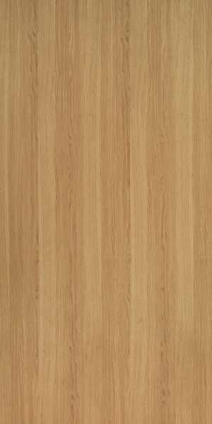 ModernWood Texture
