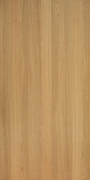 ModernWood Texture