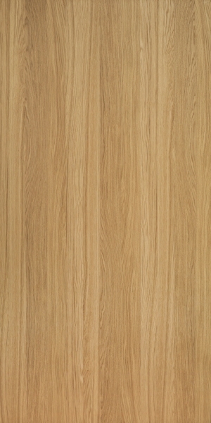 ModernWood Texture
