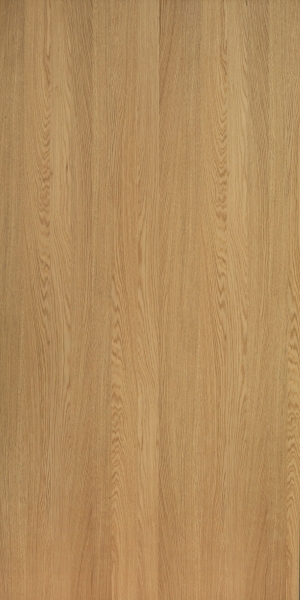 ModernWood Texture