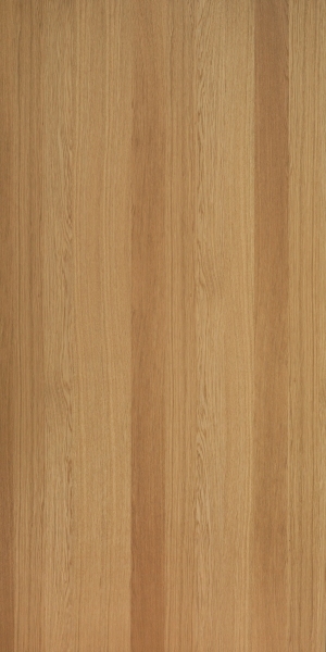 ModernWood Texture
