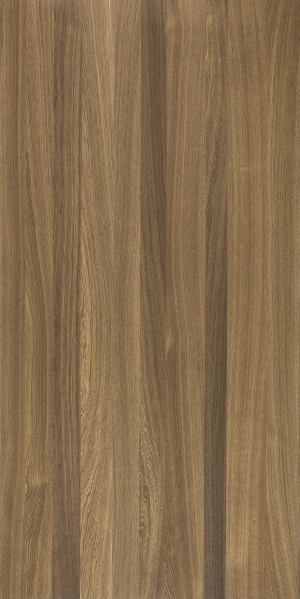 ModernWood Texture
