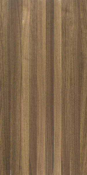 ModernWood Texture
