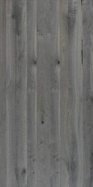 ModernWood Texture