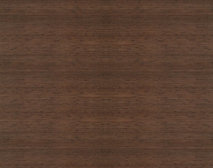 ModernWood Texture