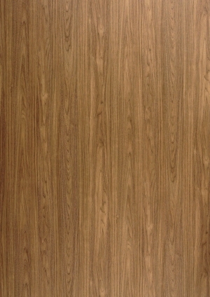 ModernWood Texture