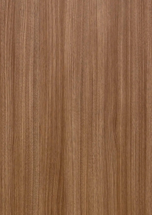 ModernWood Texture