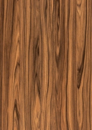 ModernWood Texture