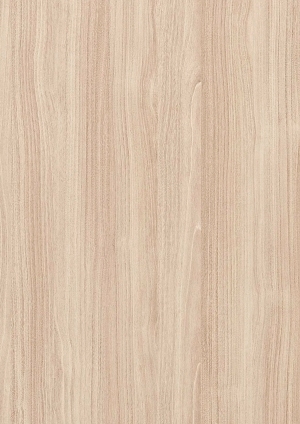 ModernWood Texture