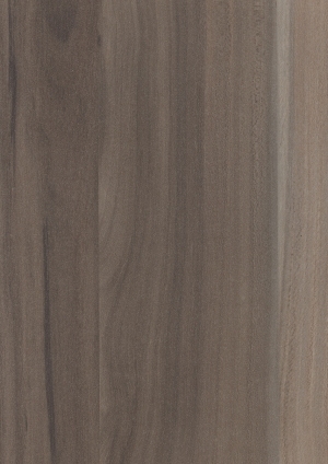 ModernWood Texture