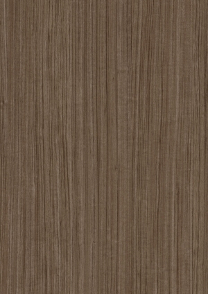 ModernWood Texture