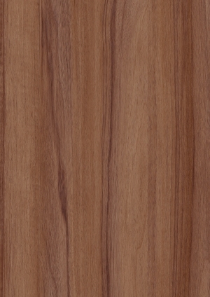 ModernWood Texture