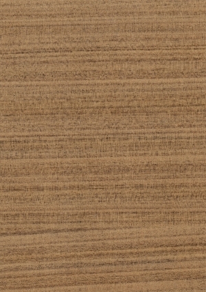 ModernWood Texture