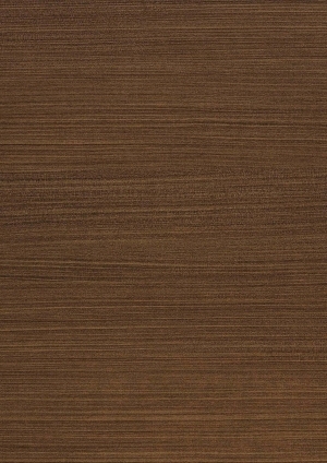 ModernWood Texture