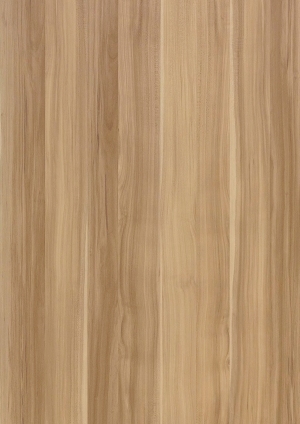 ModernWood Texture