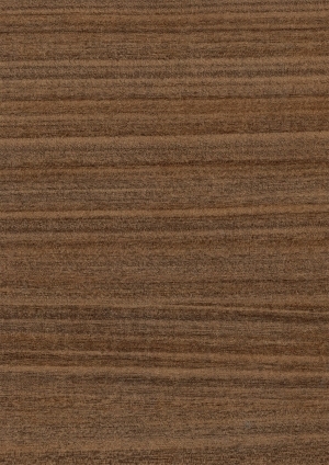 ModernWood Texture