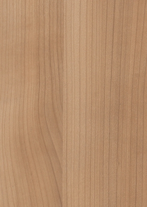 ModernWood Texture