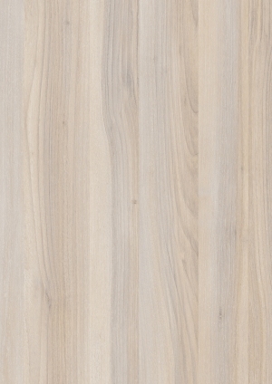 ModernWood Texture
