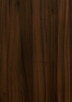 ModernWood Texture