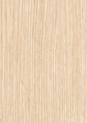 ModernWood Texture