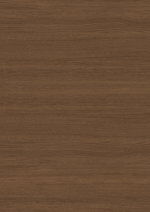 ModernWood Texture