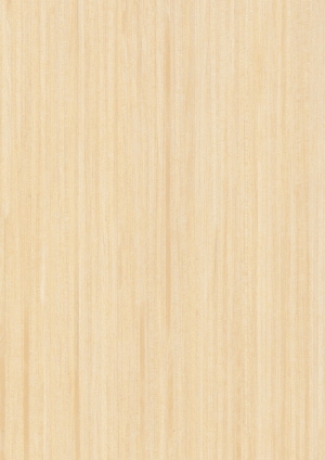 ModernWood Texture