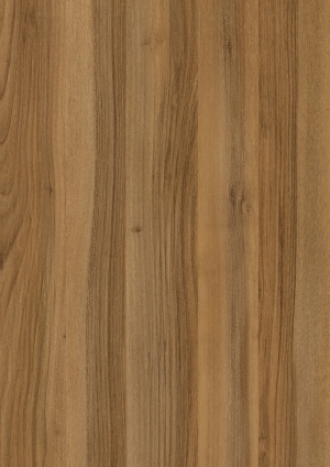 ModernWood Texture