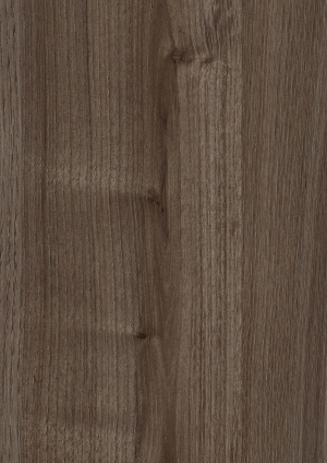 ModernWood Texture