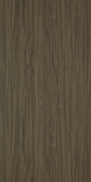 ModernWood Texture