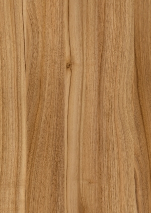 ModernWood Texture
