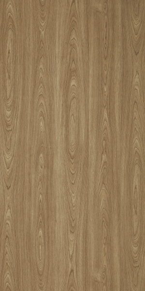 ModernWood Texture