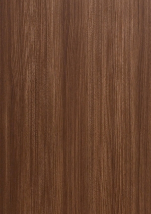 ModernWood Texture