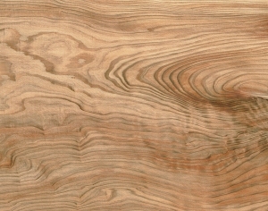 ModernWood Texture