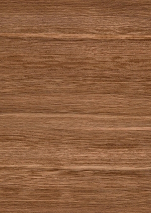 ModernWood Texture