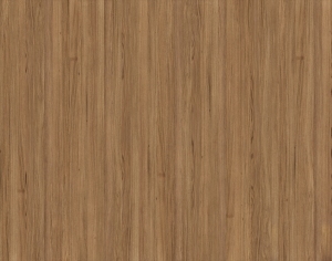 ModernWood Texture