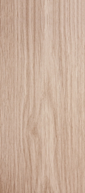 ModernWood Texture