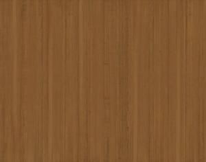ModernWood Texture