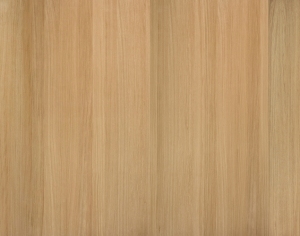 ModernWood Texture