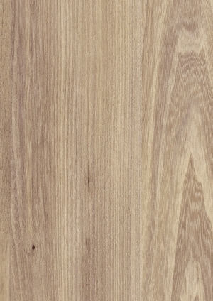 ModernWood Texture