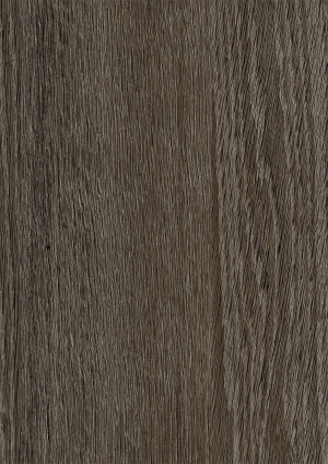 ModernWood Texture