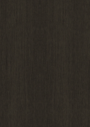 ModernWood Texture