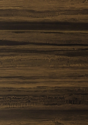 ModernWood Texture