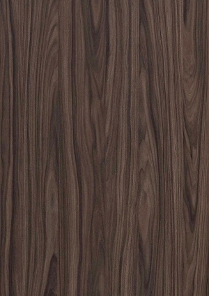 ModernWood Texture