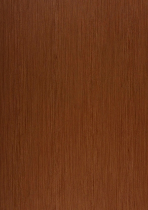 ModernWood Texture