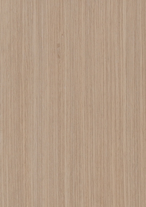 ModernWood Texture