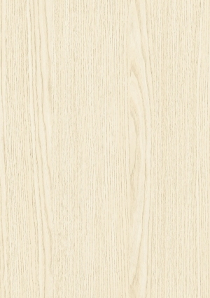 ModernWood Texture