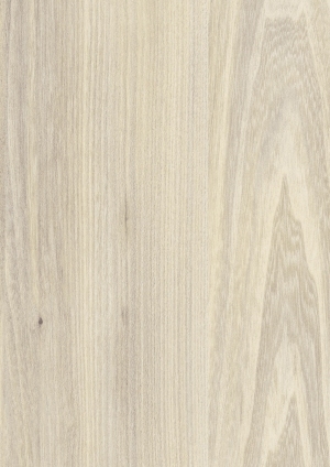 ModernWood Texture