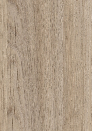 ModernWood Texture