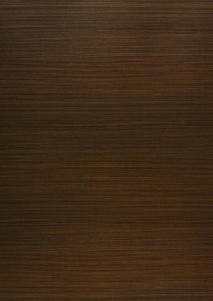 ModernWood Texture